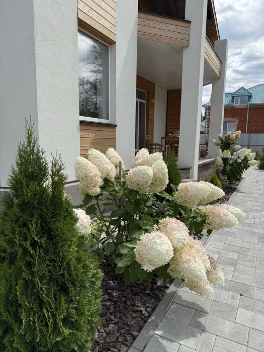 Озеленение Благоустройство