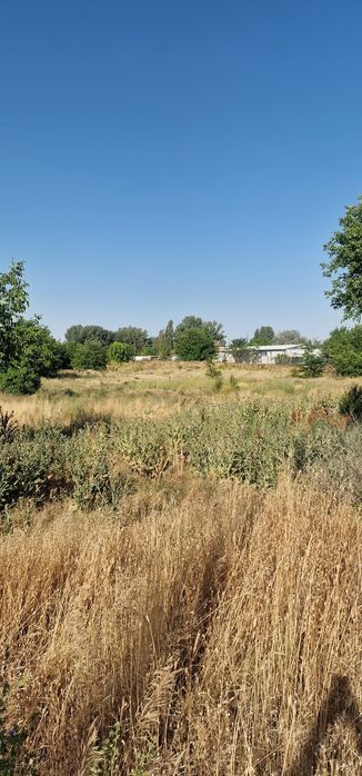 Продава се Парцел в Видин, Нов път - 23000 кв.м за 1 €/кв.м - Снимка #4