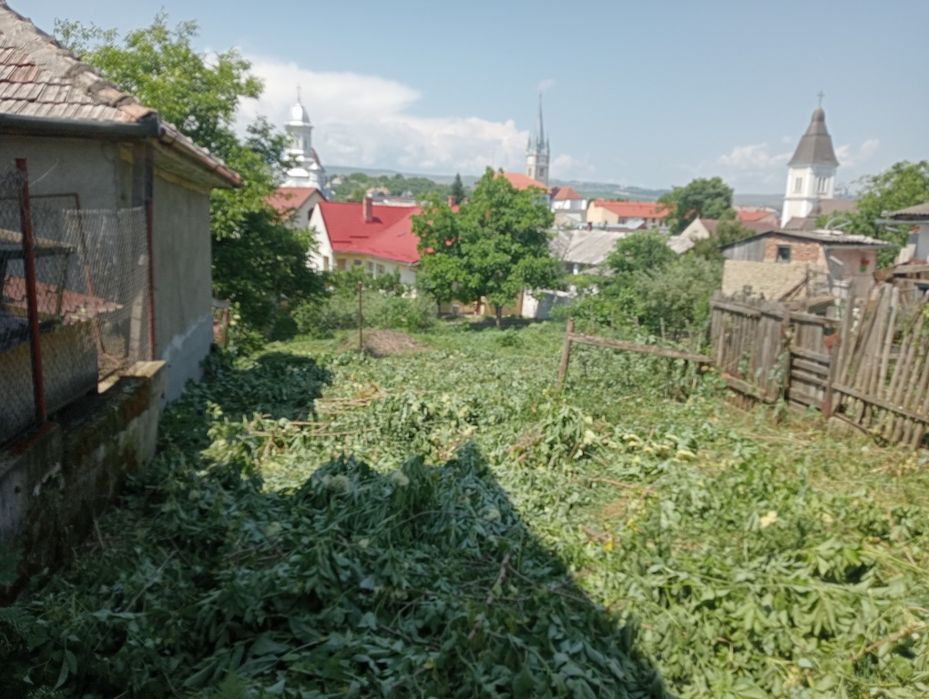 Executam lucrări de defrișat terenuri ,curățat pomi, Toaletare arbori