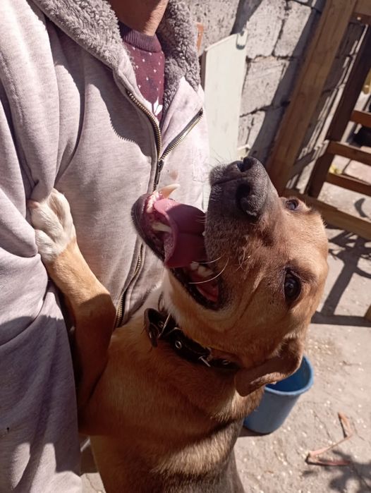 Солнышко ищет дом