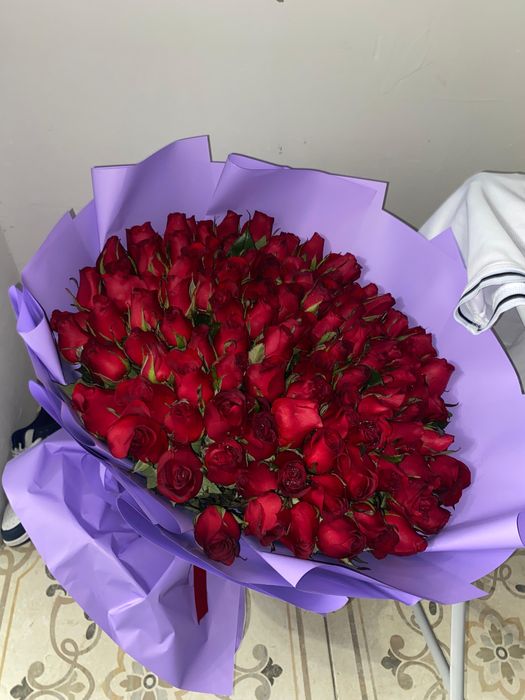 Свежие розы. Балғын гүлдер