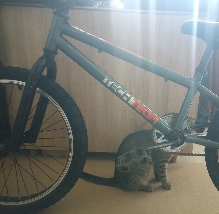 Bmx tech team 2023