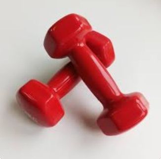 Штанга, гантели, груша, турник