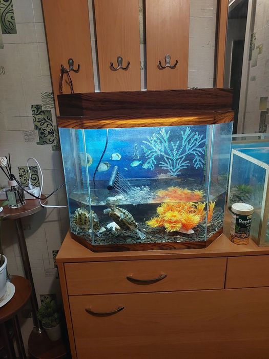 Аквариум 2 с черепахами водяными