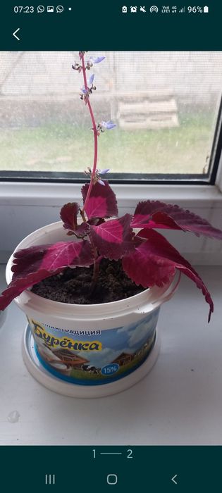 Покрывала,подушка продам