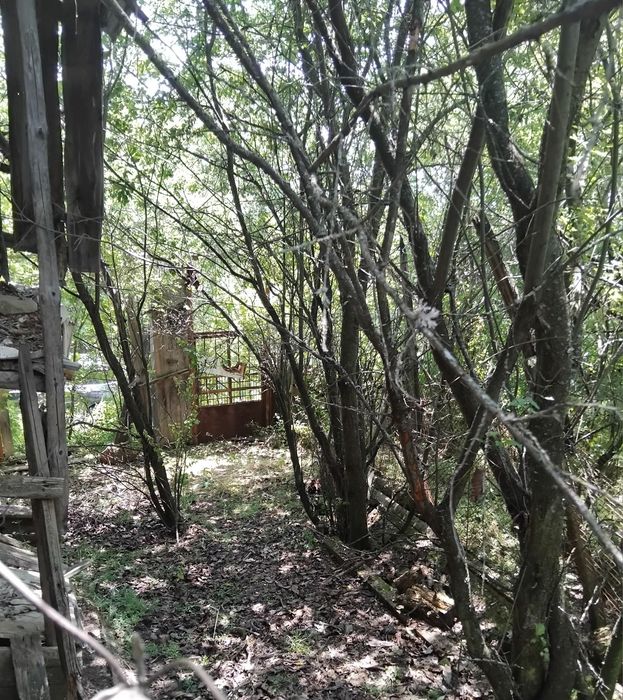 Продава се Къща в с. Таваличево, Област Кюстендил - 75 кв.м за 225 €/кв.м - Снимка #4