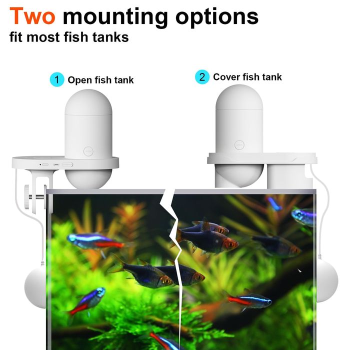 Vand Wifi Automatic Fish Feeder cu Camera