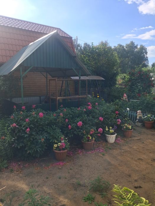 Продам дачу со Горизонт