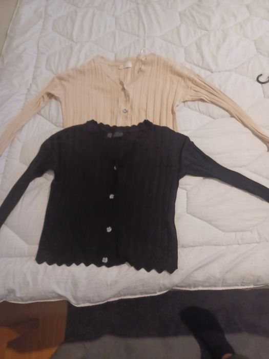 Ploveraș cu nasturi de primăvară damă