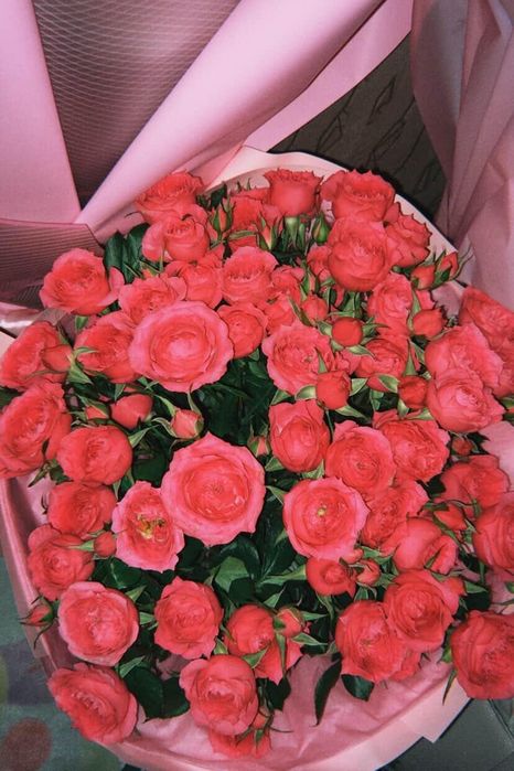 Продам свежие цветы