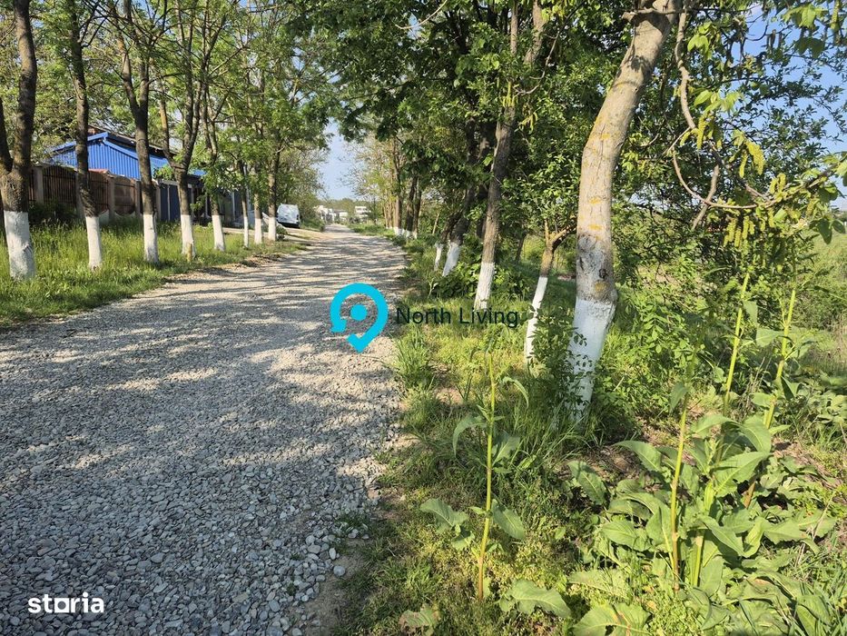 Teren Cu Deschidere La Lac / La Doar 100 M De Padure / Utilitati