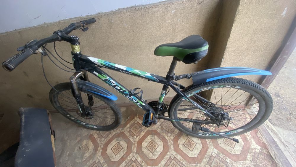 Арзан спартивны велик