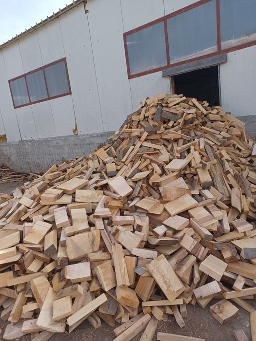 Lemne de foc fag gata taiate