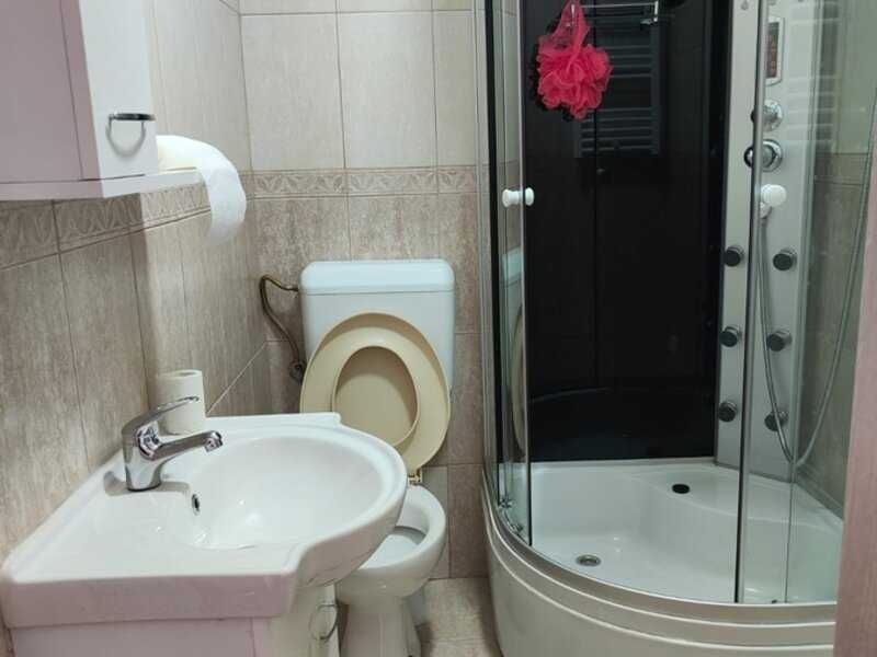 Inchiriere Casa curte Banu Manta , Titulescu
