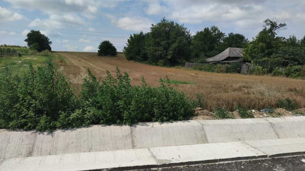 Teren intravilan FILIPEȘTI/Bacău