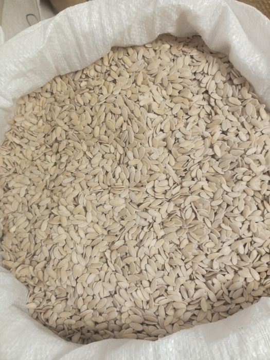 Семена дыни Бакинка высшего сорта