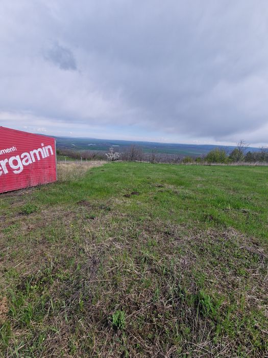 Vând teren Chicerea Tomesti