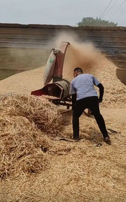 Драбилка Жоди Ут маудалагич