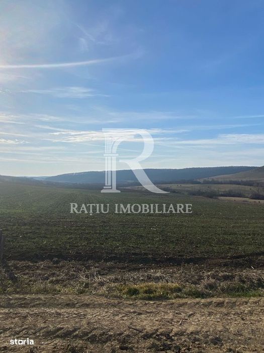 Teren extravilan de vanzare 3.900mp | Mierlau | Bihor