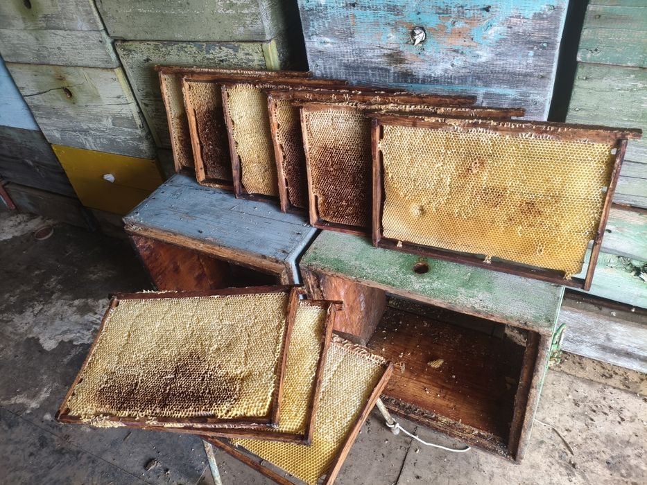 Сушь для пчёл. 300 рамок.