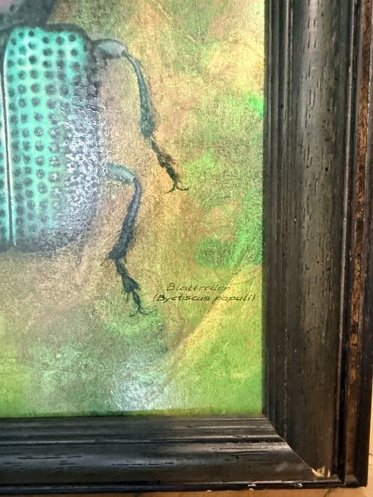 Картини с инсекти