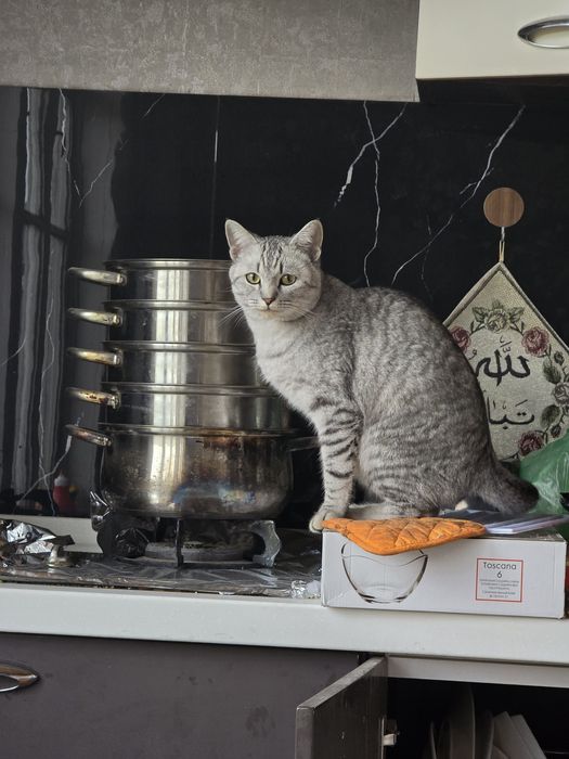 За хорошие руки без блатно