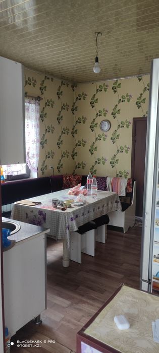 Қазығұрт ауданда орталықта уй