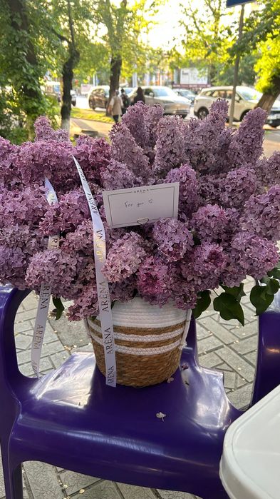 Продам свежий сирень