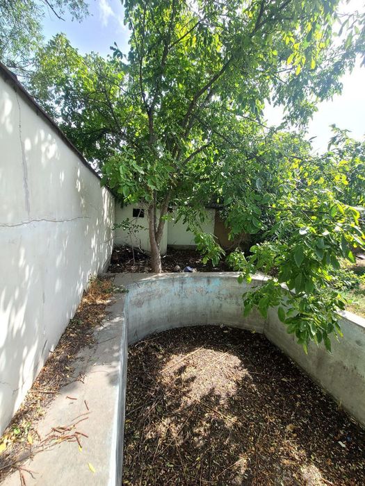 Томарка буш жой йер хисобида