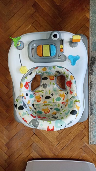 Проходилка Moni Zizzy