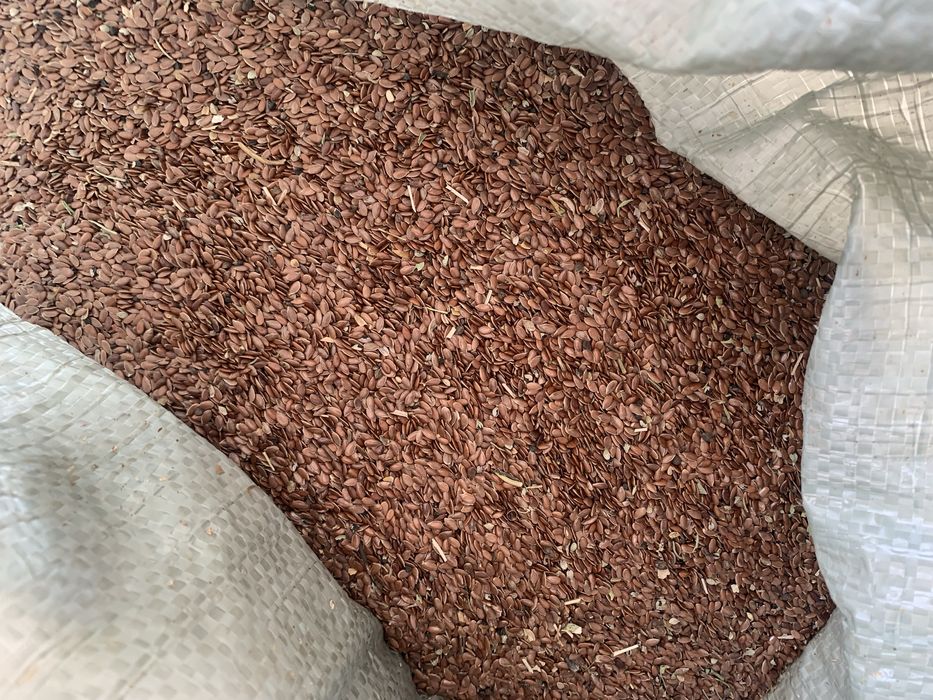 Продам пшеницу зерно, лен, бидай