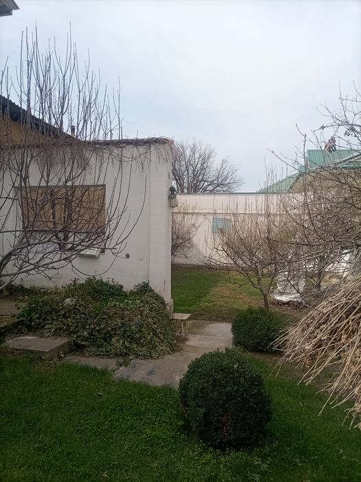 Boģbonchili qilamis
