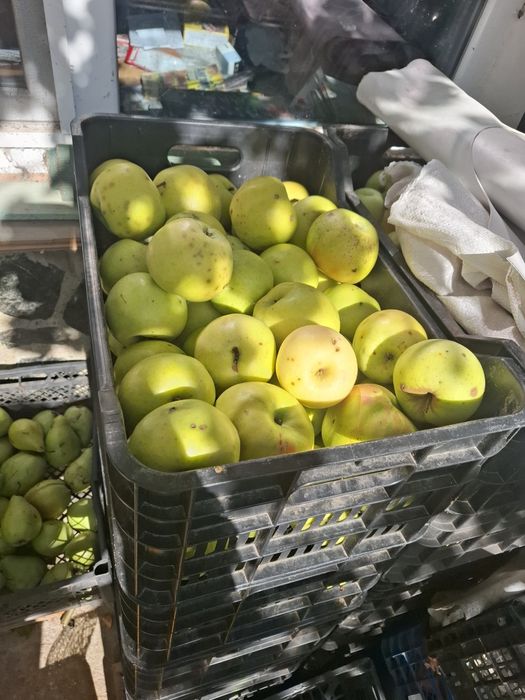 Продавам ябълки и круши