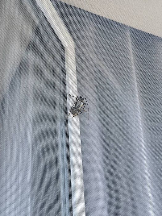 Moskitniy setka 100% sifatli