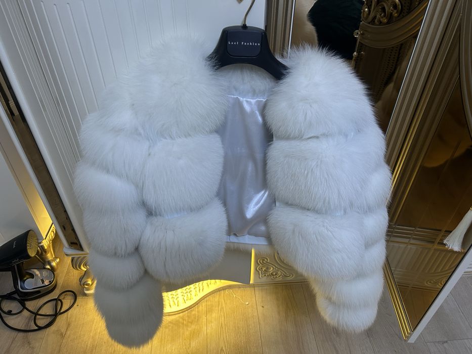 Vand urgent blaba vulpe polara