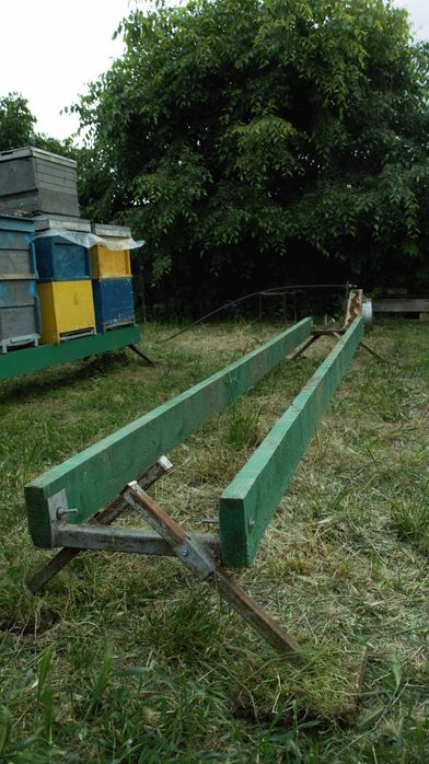 Stupina 4 familii albine si 20 lazi