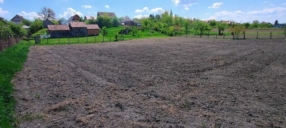 Casă  Târnăveni Seuca Teren 2500Mp