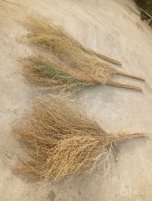Xas. Supurgilar sotiladi