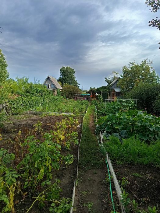 Срочно Продам дачу