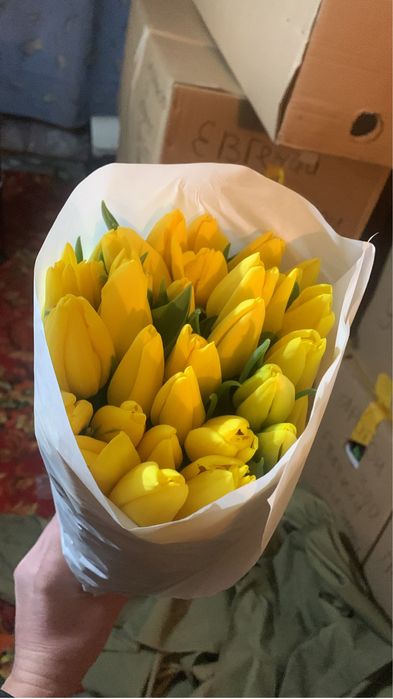 Тюльпаны предзаказ к 8 марта
