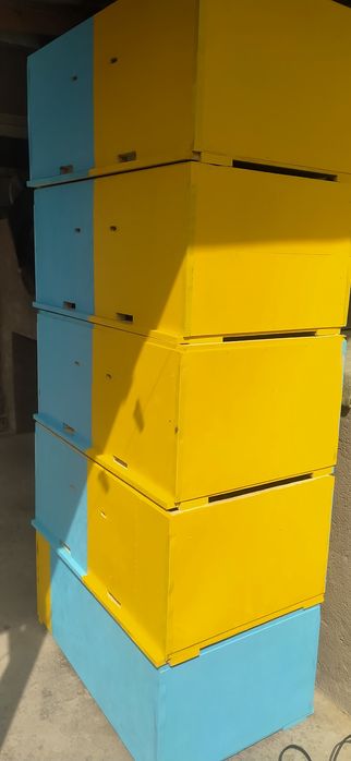 Янги АсалАри ульялари