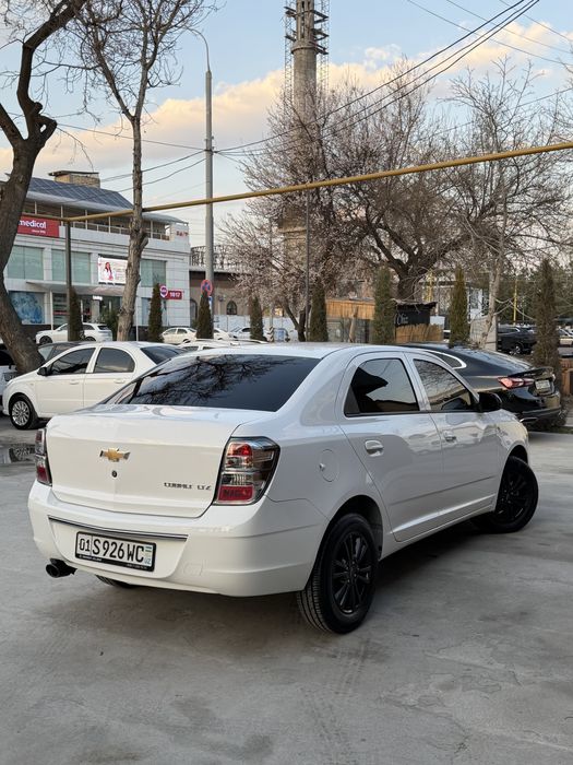 Arenda/Vikup Cobalt 2025 Midnight