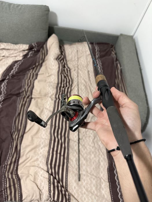 Combo Spinning Delphin