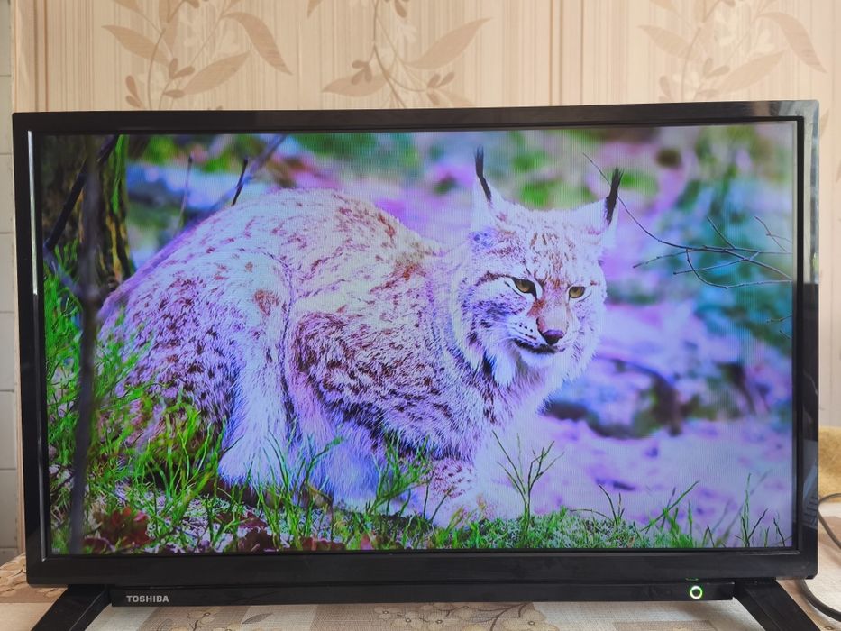 Toshiba 24WA2063DG 24" Smart Android TV - проблем с колонките