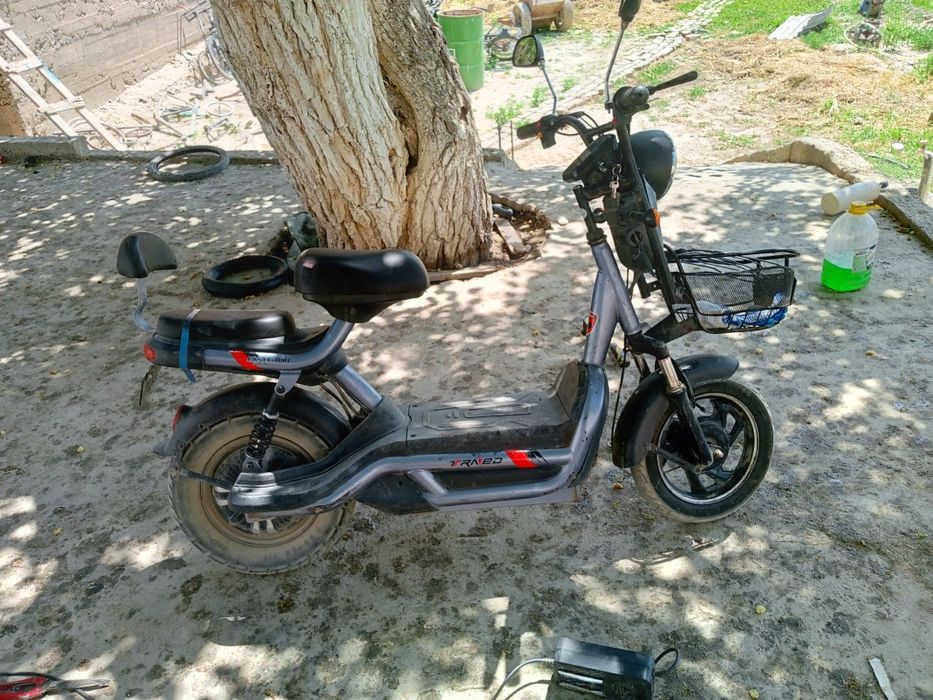 Arzon va yaxshi Elektro skuter 500watlik matori