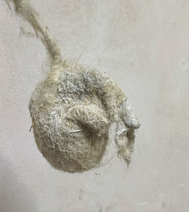 Құрқылтай ұясы сатылады