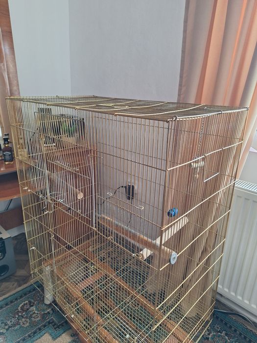 Cusca papagal 1.20m inaltime