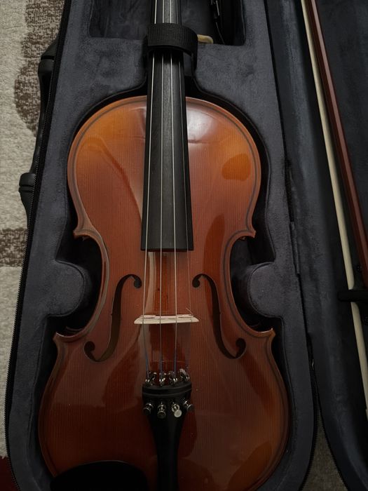 Vioara  + accesorii