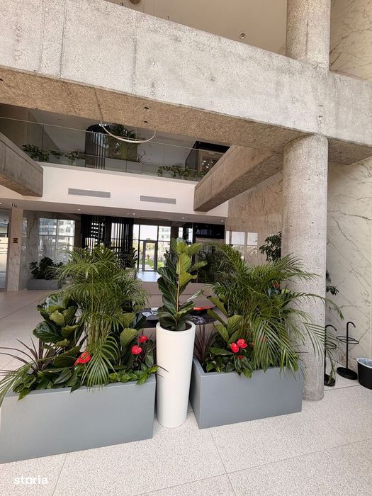 Apartament | 3 camere | Upsite| Floreasca.