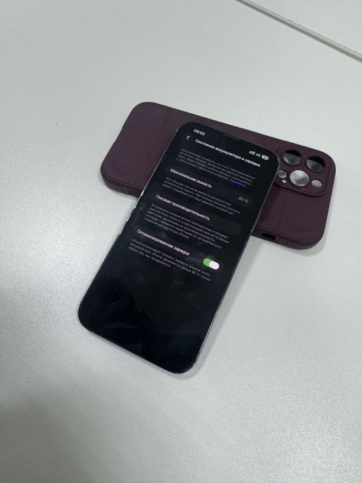 Iphone 13 Pro Max 256gb